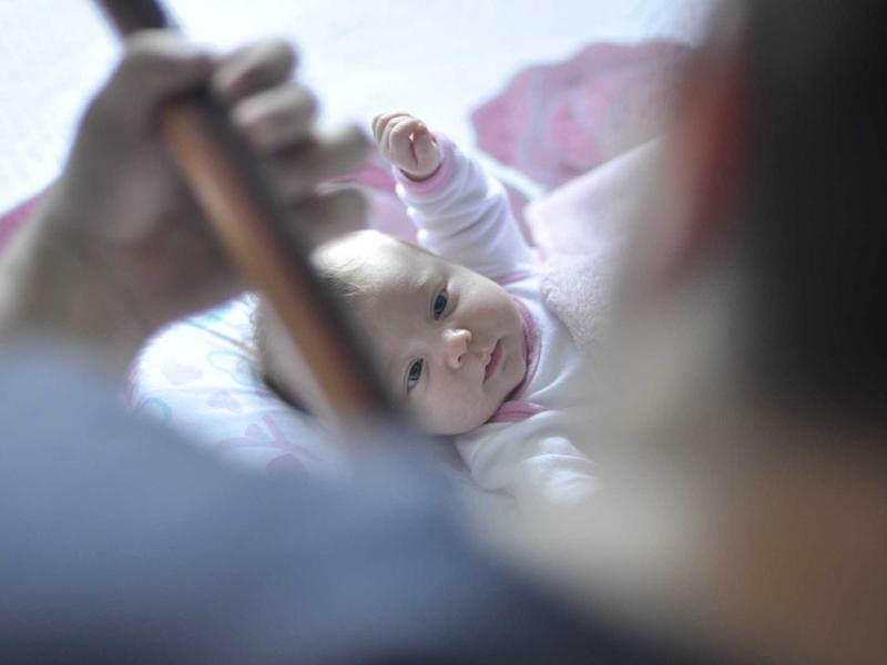 冰河世纪<br>lyj4jayv.cn 猛犸象迁徙录